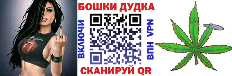 Бошки марихуана марихуана  наркотики  Алатырь 